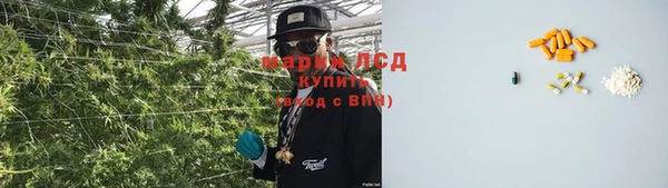 дурь Пестово