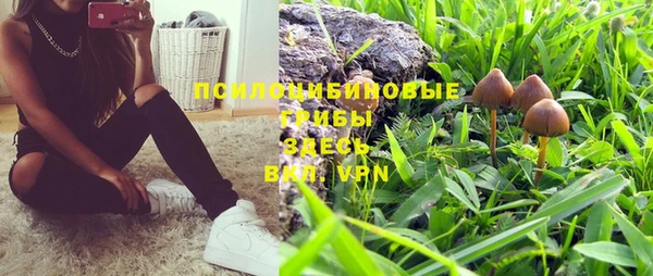 гашиш Пересвет