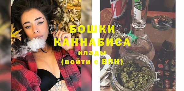 дурь Пестово
