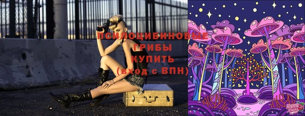 дурь Пестово