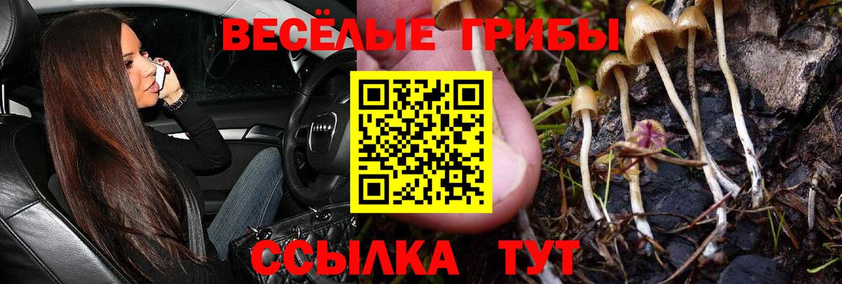 Псилоцибиновые грибы Magic Shrooms  Галлюциногенные грибы ЛСД  Боровичи 